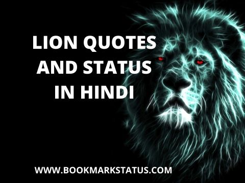 LION QUOTES IN HINDI WITH IMAGES – (शेर स्टेटस एक शेर व्यक्ति के लिए)