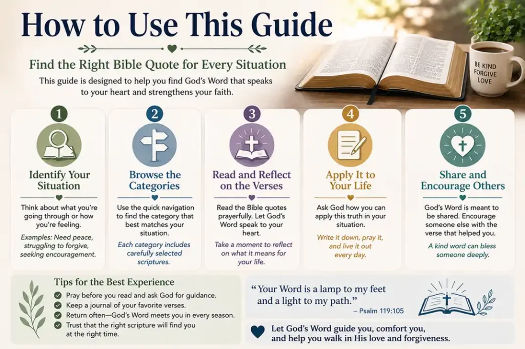 How to Use This Guide